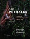How Primates Eat