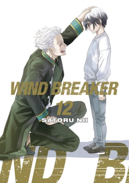 Wind Breaker Vol 12