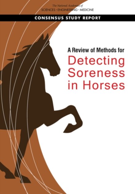 A Review of Methods for Detecting Soreness in Horses