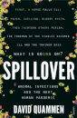 Spillover