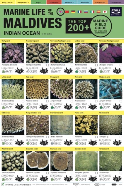 Maldives Marine Life Field Guide