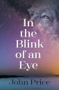 In the Blink of an Eye