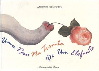 Uma Rosa Na Tromba De Um Elefante
