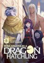 Reincarnated as a Dragon Hatchling (Light Novel) Vol. 8