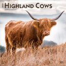 Highland Cows 2026 Square Flap Calendar