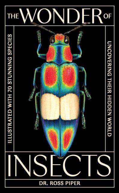 The Wonder of Insects: Uncovering their Hidden World