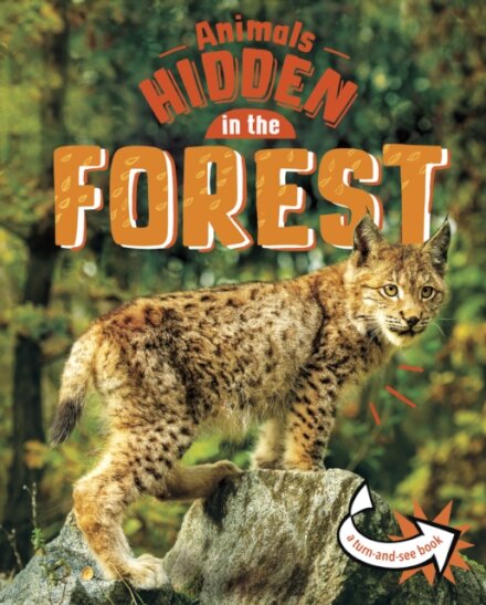 Animals Hidden in the Forest