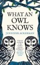 What an Owl Knows