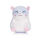 Kawaii Kuties 9.5" Gift Hamster Soft Toy