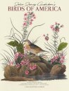 Audubons Birds Of America Deluxe Wall Su