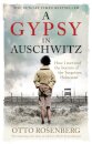 A Gypsy In Auschwitz