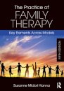The Practice of Family Therapy