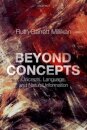 Beyond Concepts