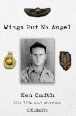 Wings But No Angel