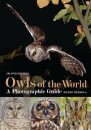 Owls of the World - A Photographic Guide