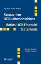 Kennzahlen HGB-Jahresabschluss / Ratios HGB-Financial Statements