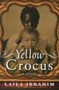 Yellow Crocus