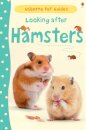 Looking After Hamsters