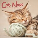 Cat Naps Square Wall Sunday Start Calend