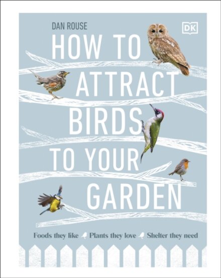 How To Attract Birds To Your Garden