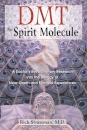 DMT: The Spirit Molecule : A Doctor's Revolutionary Research into the Biology of Near-Death and Mystical Experiences