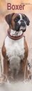 Boxer Slim Calendar 2026  Dog Breed Slimline Calendar - 12 Month