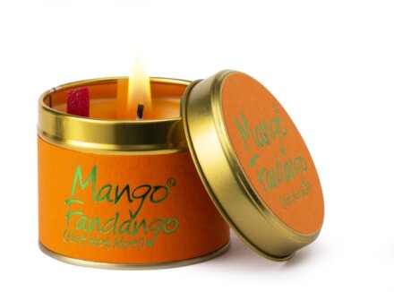 Mango Fandango  - Scented Tin Candle