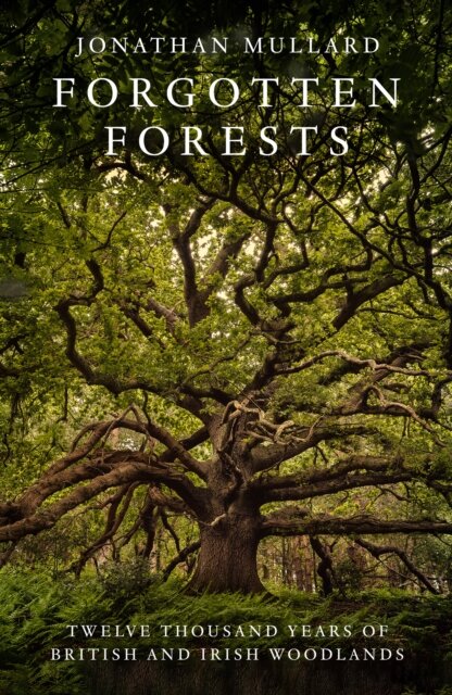 Forgotten Forests