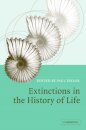 Extinctions in the History of Life