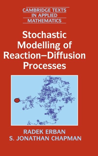 Stochastic Modelling of Reaction–Diffusion Processes