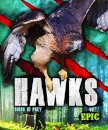 Hawks