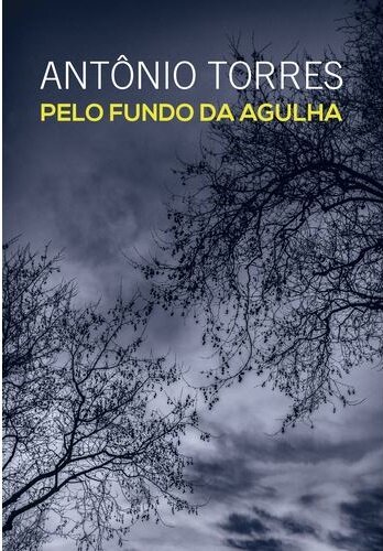 Pelo Fundo Da Agulha