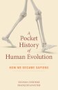 A Pocket History of Human Evolution