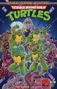 Teenage Mutant Ninja Turtles: Saturday Morning Adventures, Vol. 1