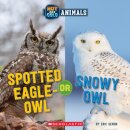 Spotted Eagle-Owl or Snowy Owl (Wild World: Hot and Cold Animals)