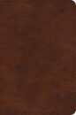 ESV Large Print Bible