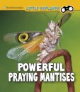 Powerful Praying Mantises