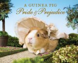 A Guinea Pig Pride & Prejudice