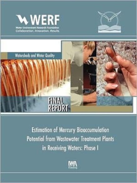 Estimation of Mercury Bioaccumulation Potential from Wastewater Treatment Plants in Receiving Waters: Phase 1