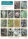 Guide to Lichens of Heaths and Moors