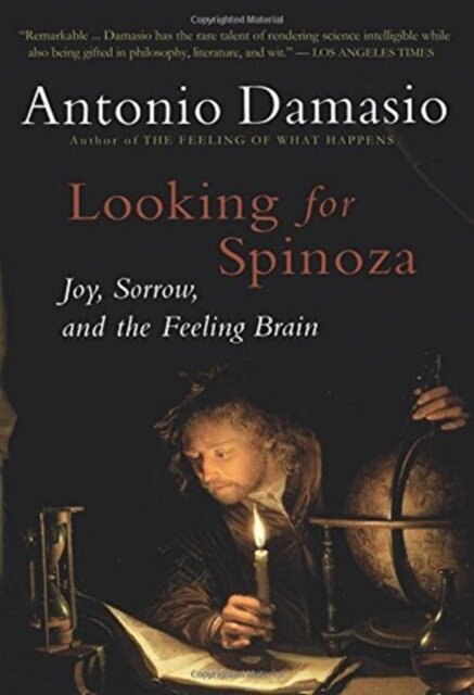 Looking For Spinoza