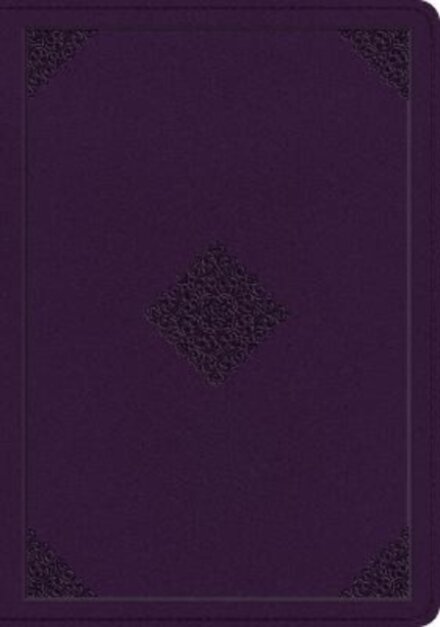 ESV Single Column Journaling Bible, Large Print