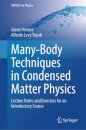 Many-Body Techniques in Condensed Matter Physics