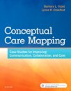 Conceptual Care Mapping