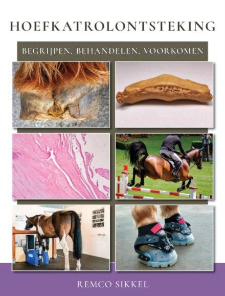 Hoefkatrolontsteking