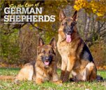 German Shepherds, For the Love of 2026 Deluxe Flap Foil Calendar