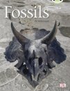 Bug Club Non-fiction Gold A/2B Fossils 6-pack