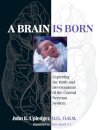 A Brain Is Born