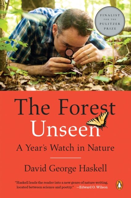 The Forest Unseen