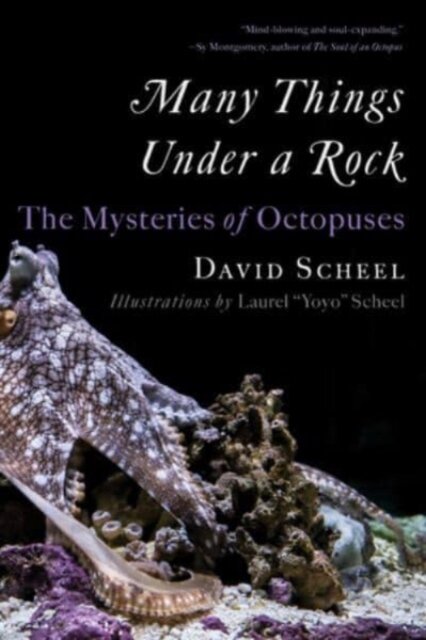 Many Things Under a Rock